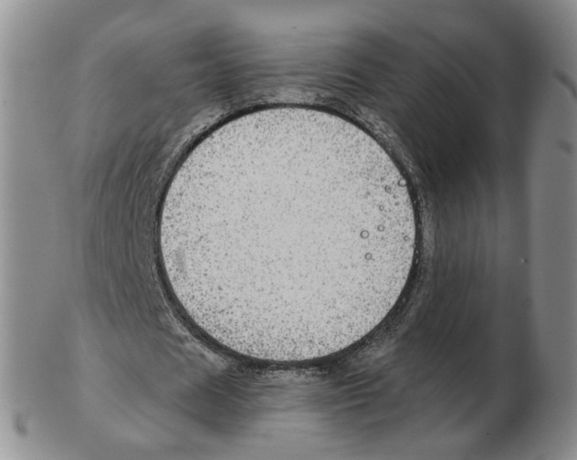 X0000102770625200809151040