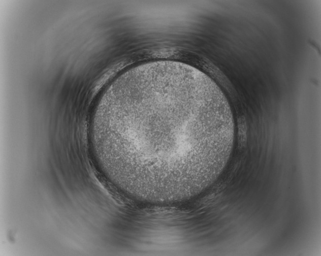 X0000102770626200809151040