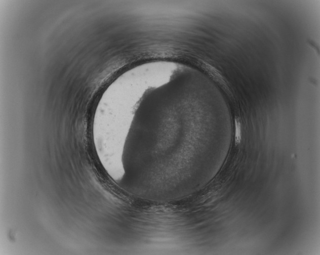 X0000102770627200809151040