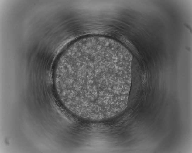 X0000102770628200809151040