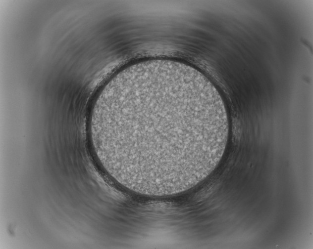 X0000102770629200809151040