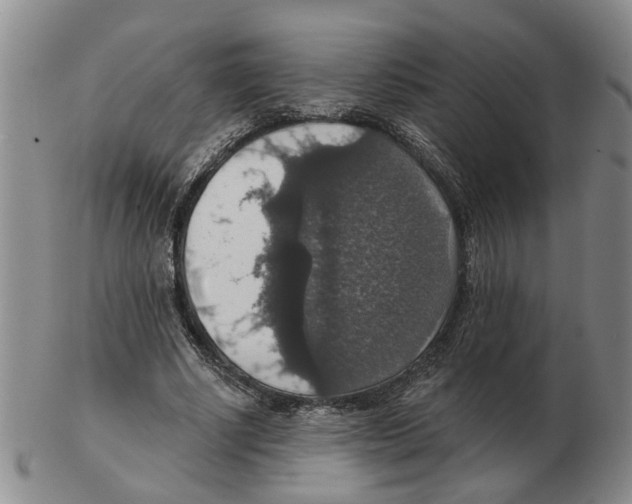 X0000102770634200809151040