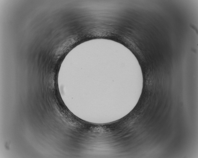 X0000102770635200809151040