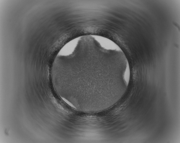 X0000102770637200809151040