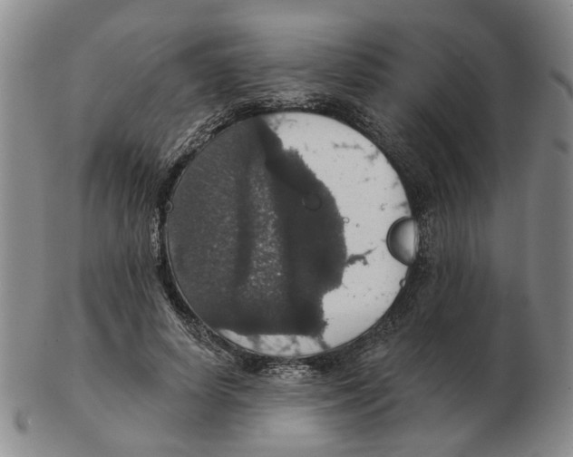 X0000102770642200809151040