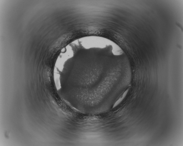 X0000102770643200809151040