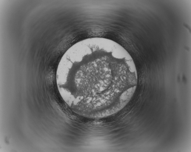 X0000102770647200809151041