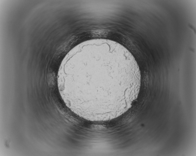 X0000102770649200809151041