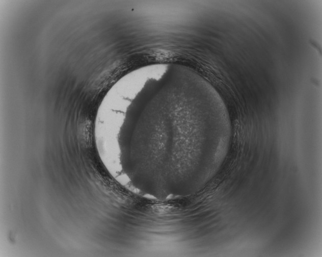 X0000102770650200809151041