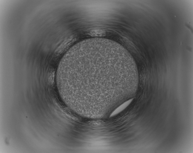 X0000102770652200809151041