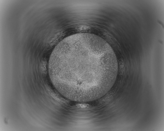 X0000102770654200809151041