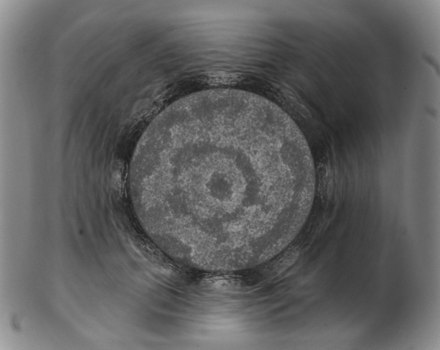 X0000102770655200809151041