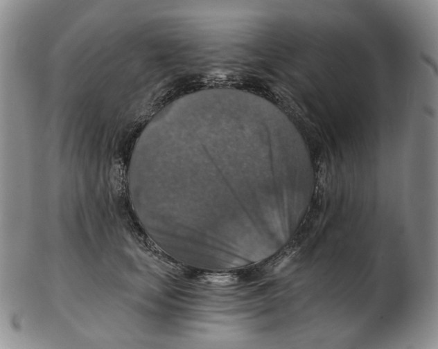 X0000102770659200809151041