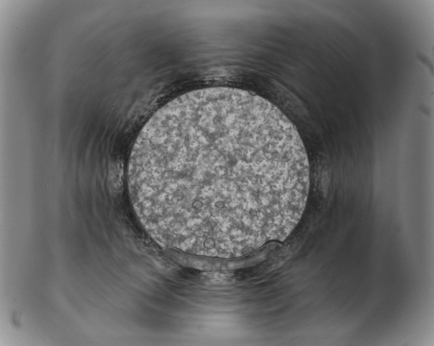 X0000102770660200809151041