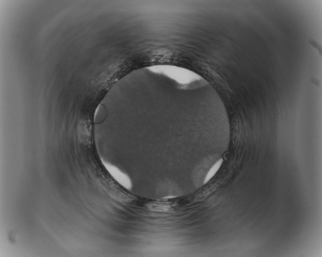 X0000102770661200809151041