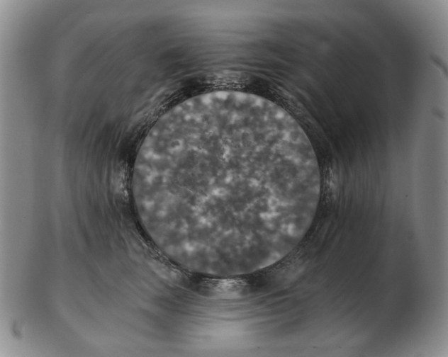 X0000102770663200809151041