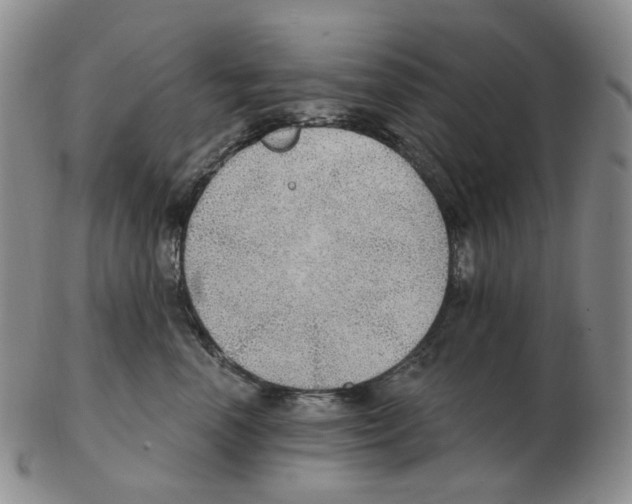 X0000102770666200809151041