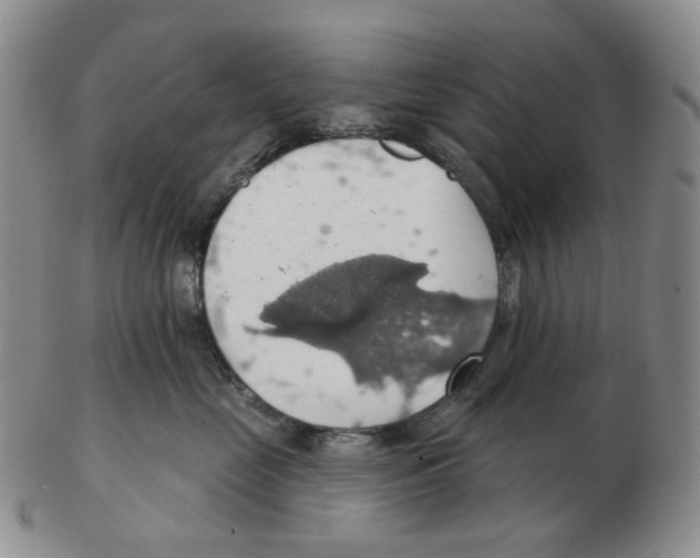 X0000102770669200809151041