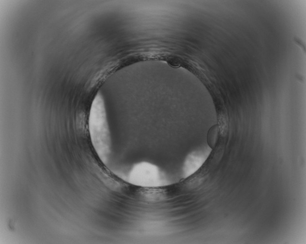 X0000102770670200809151041