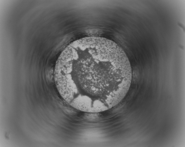 X0000102770671200809151041