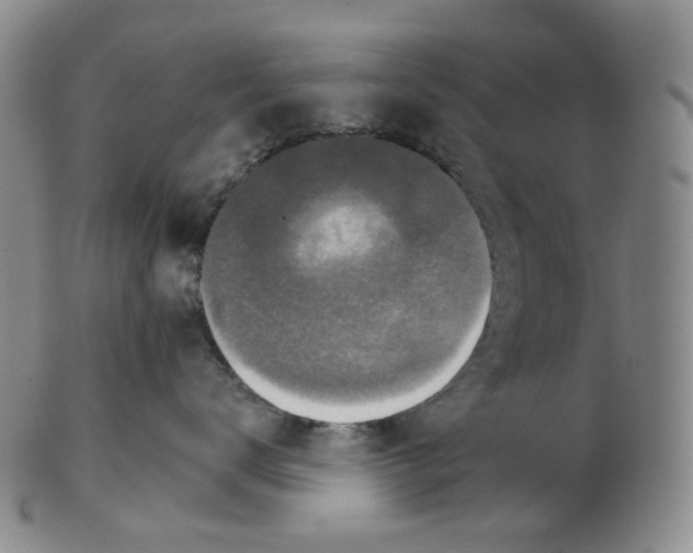 X0000102770672200809151041