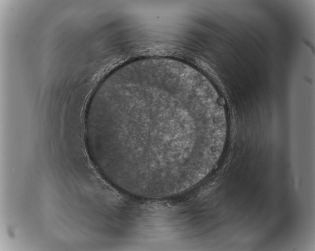 X0000102770673200809151040