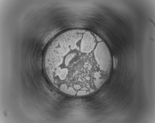 X0000102770675200809151040