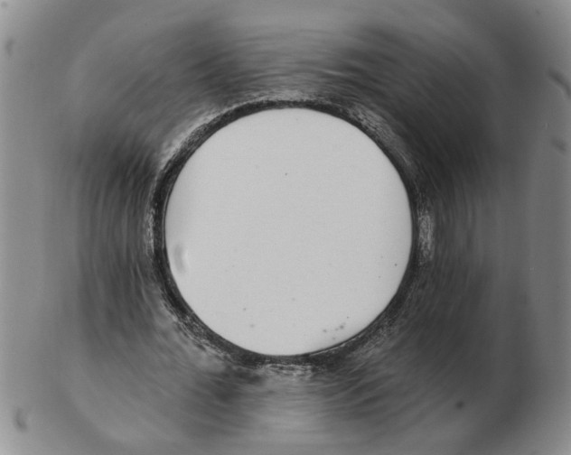 X0000102770676200809151040