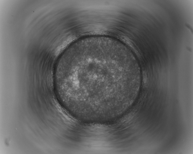 X0000102770677200809151040