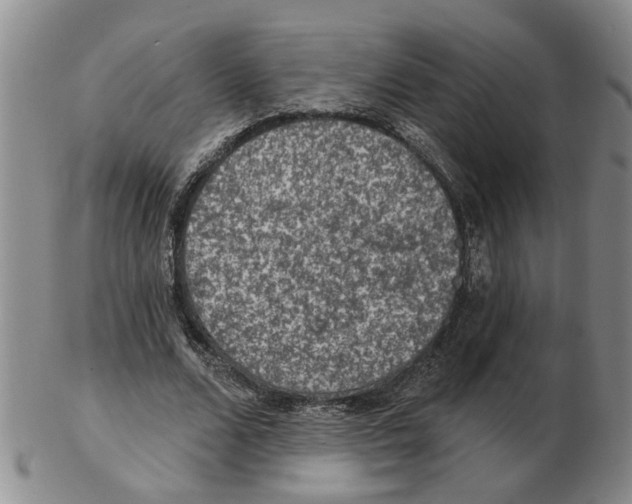 X0000102770680200809151040