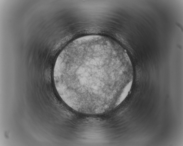 X0000102770681200809151040