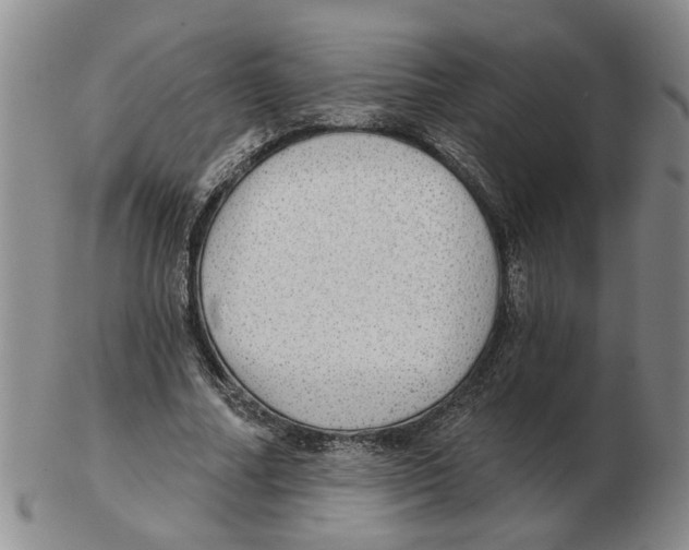 X0000102770682200809151040