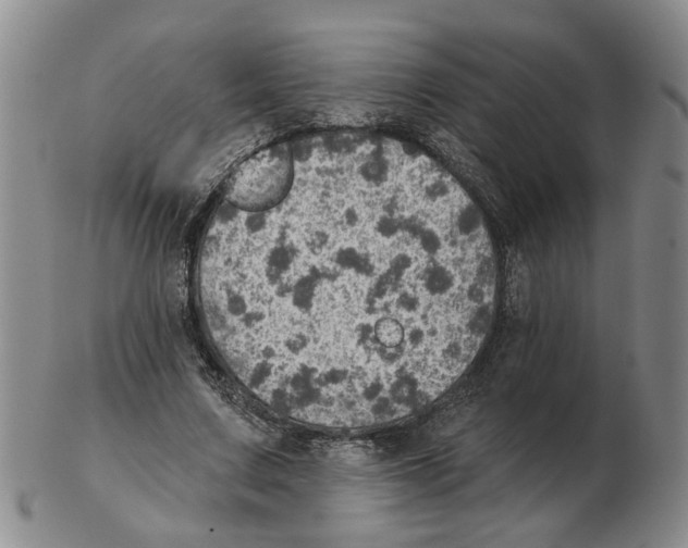 X0000102770683200809151040