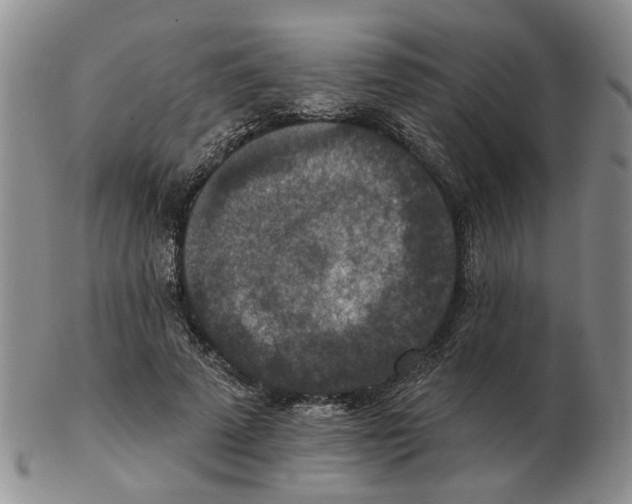 X0000102770689200809151040