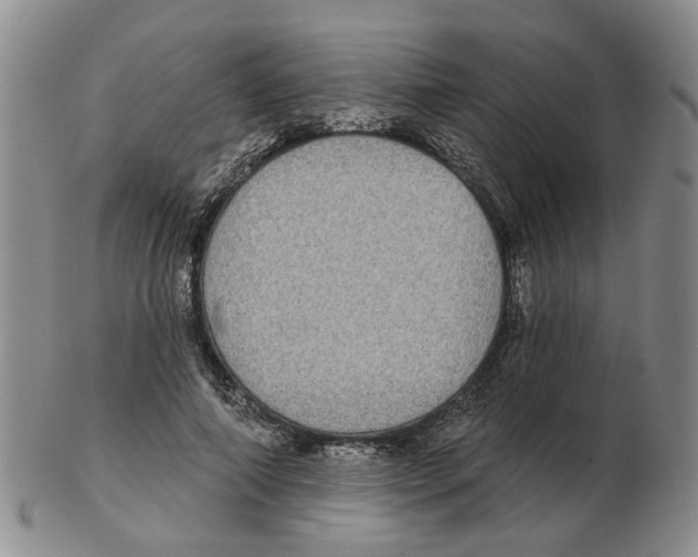 X0000102770690200809151040