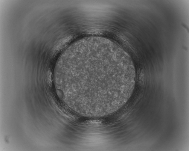 X0000102770692200809151040