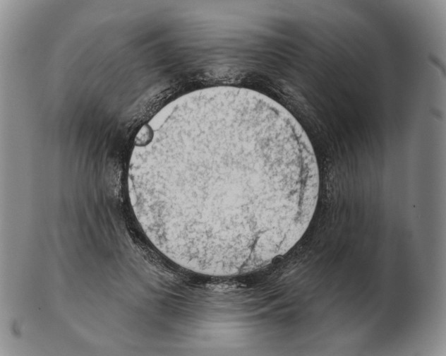 X0000102770693200809151040