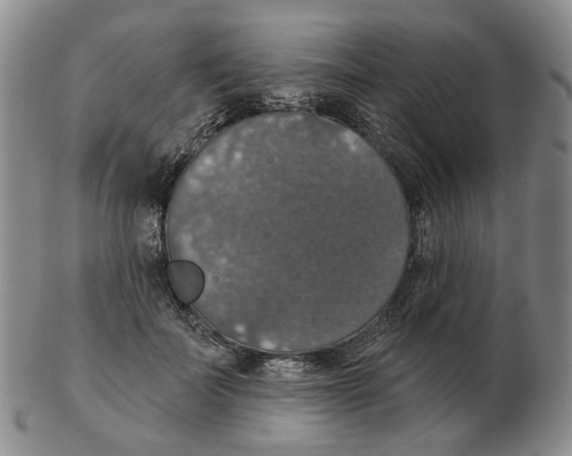 X0000102770699200809151040