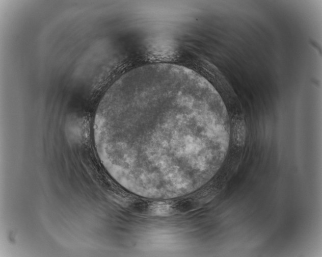 X0000102770701200809151040