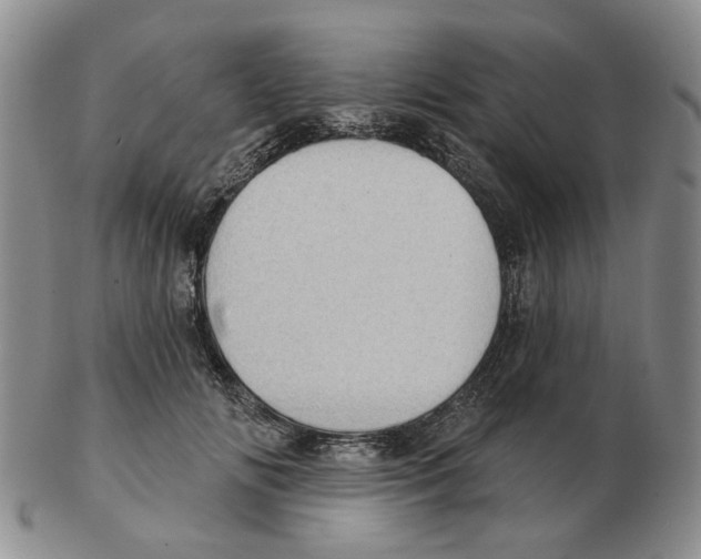 X0000102770702200809151040