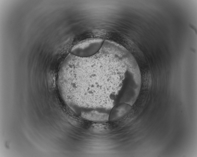 X0000102770703200809151040