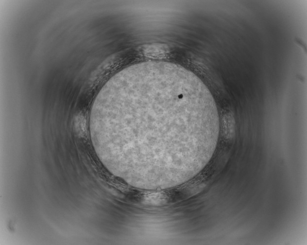 X0000102770705200809151040