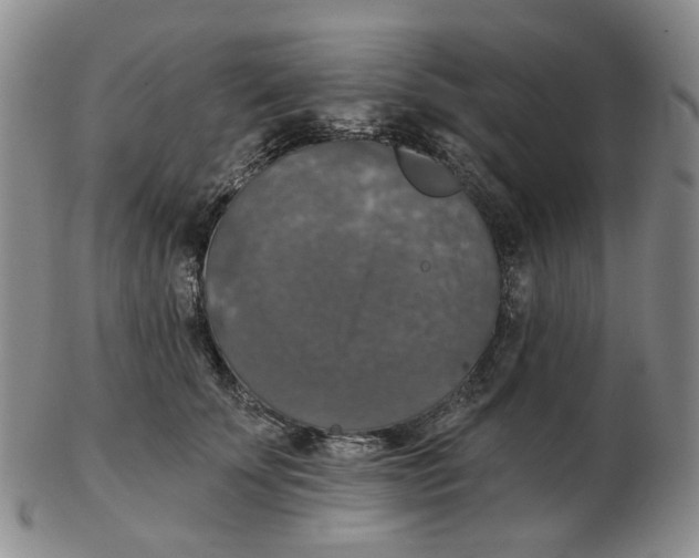 X0000102770707200809151040