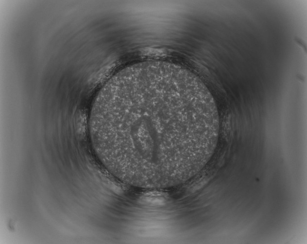 X0000102770708200809151040