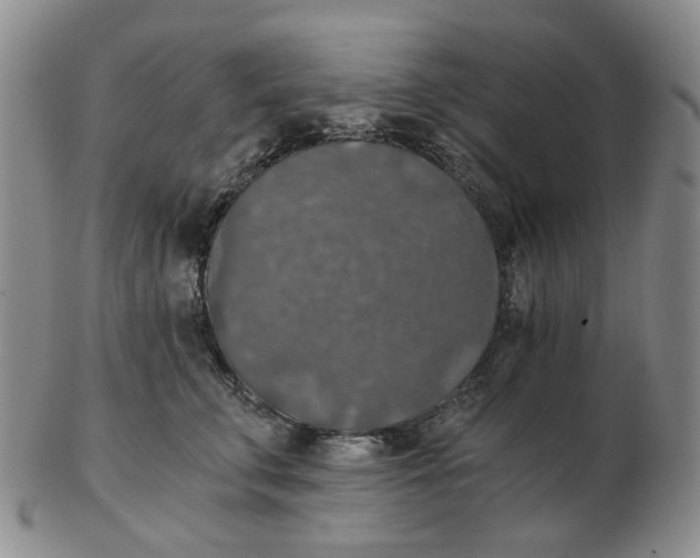 X0000102770711200809151040