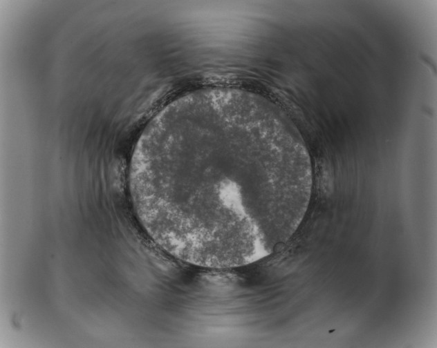 X0000102770712200809151040