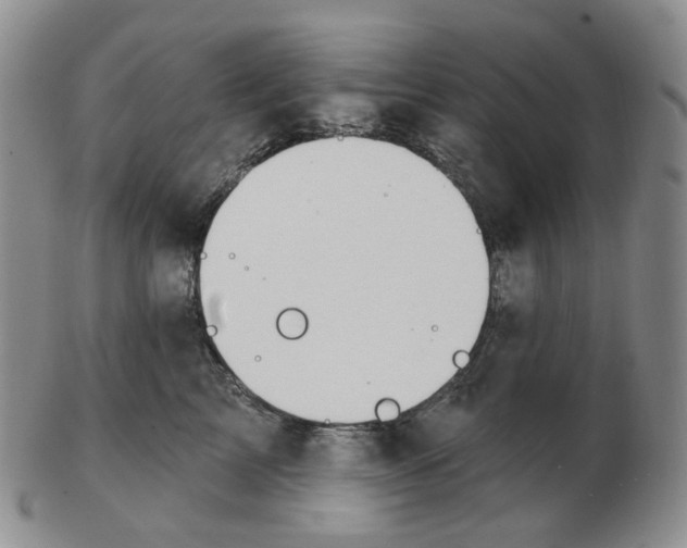 X0000102770713200809151040