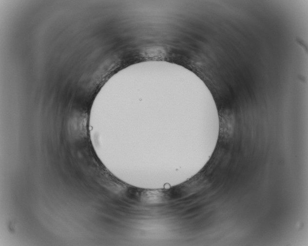 X0000102770717200809151040