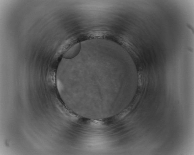 X0000102770718200809151039