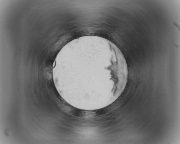 X0000102770719200809151039